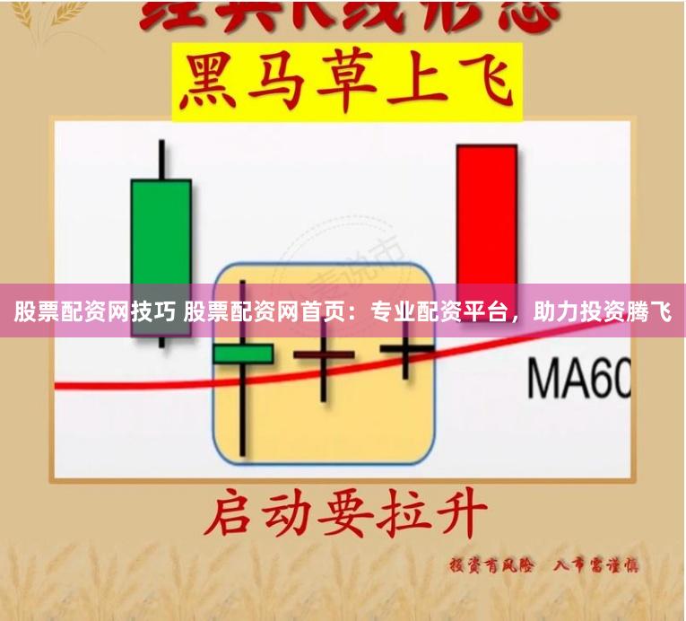 股票配资网技巧 股票配资网首页：专业配资平台，助力投资腾飞