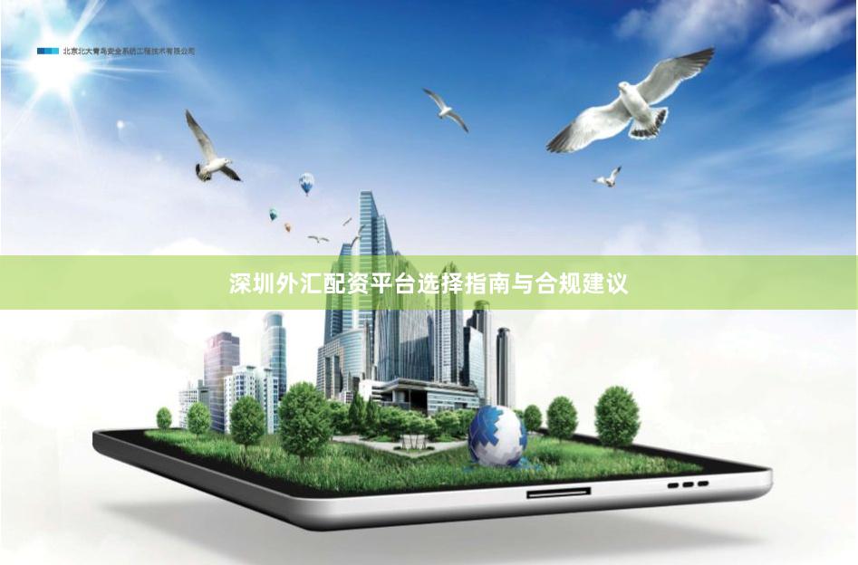 深圳外汇配资平台选择指南与合规建议