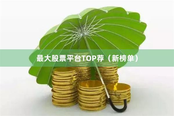 最大股票平台TOP荐（新榜单）
